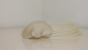 کاربرد مواد دریایی در پرینت سه بعدی