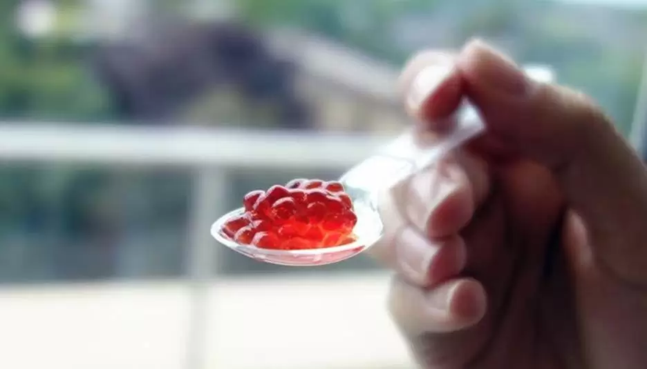 پرینت و چاپ سه بعدی میوه